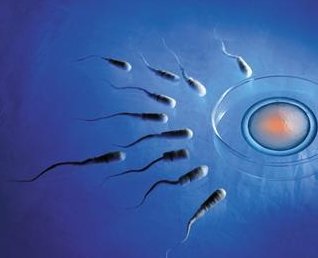 哈尔滨试管婴儿医院名单汇总，全市可怀孕的机构有这些