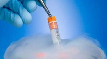 泰国试管医院排名本月最新，2026综合排名Top5