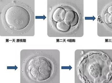 2026年在连云港私立医院做试管靠谱吗？