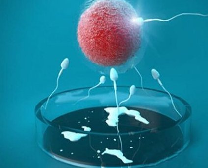 助孕机构能做哪些事情？成都三大助孕公司服务介绍